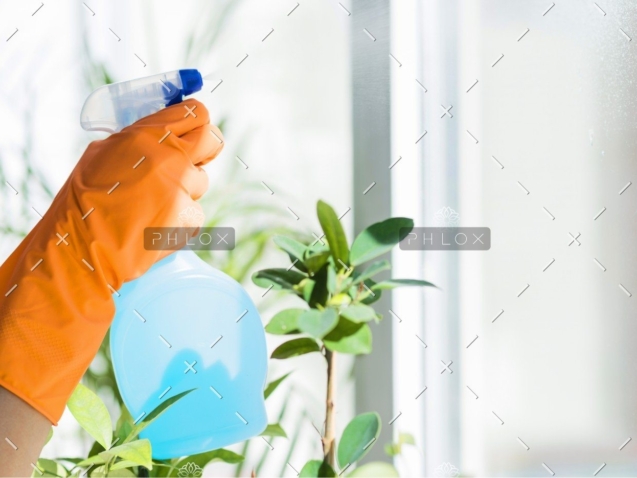 demo attachment 669 432924 pe8c6i 858