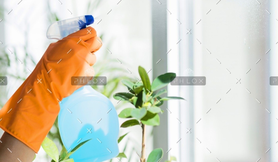 demo attachment 669 432924 pe8c6i 858